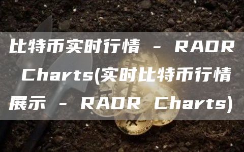 比特币实时行情 - RADR Charts - 实时比特币行情展示 - RADR Charts